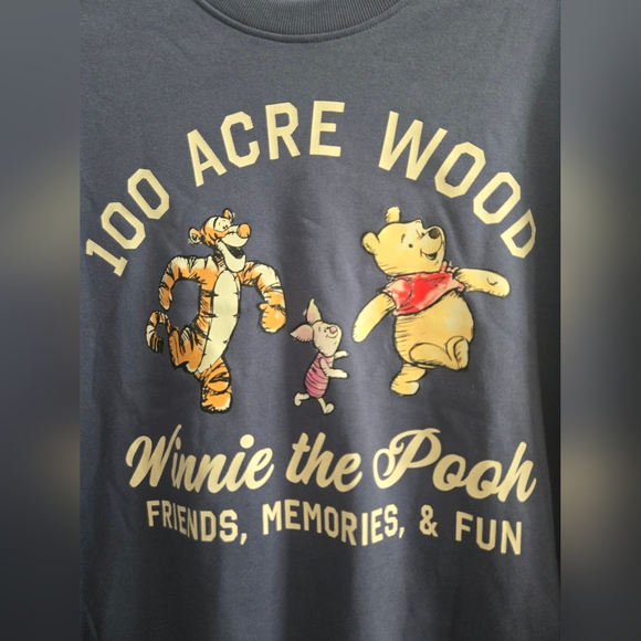 Disney Navy Winnie the Pooh Sweatshirt 100 Acre Wood NWOT - Picture 4 of 5